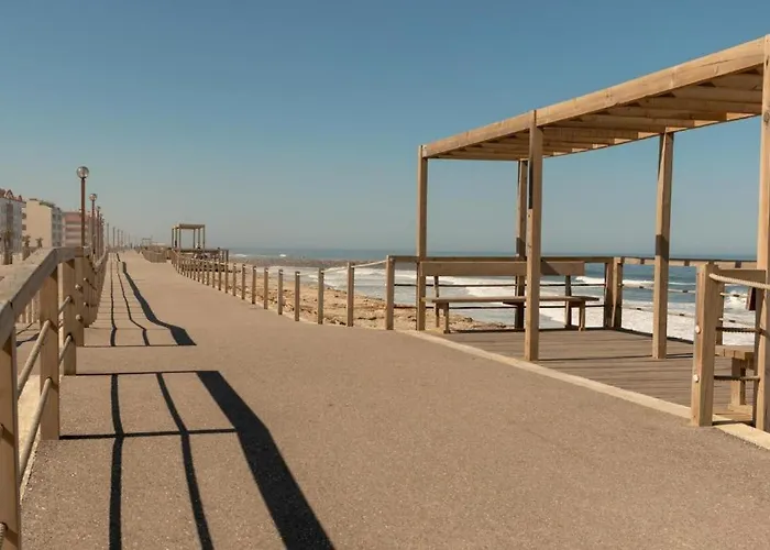 What A Fish Apartment *