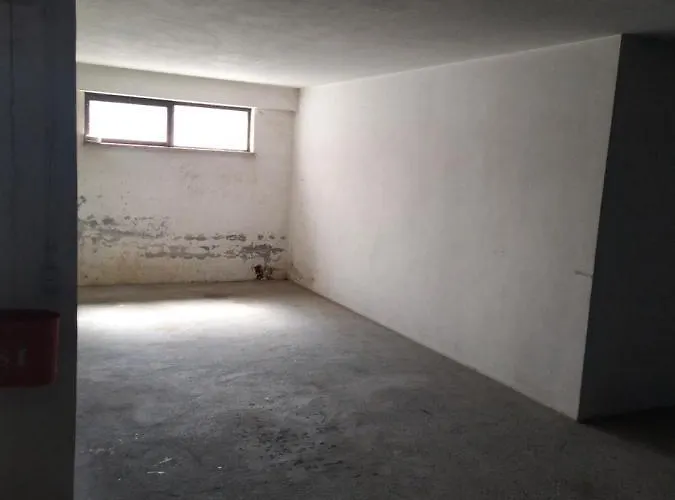 Apartment What A Fish