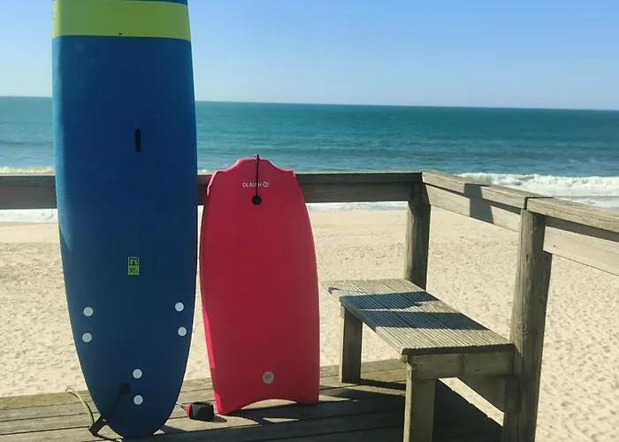 Apartment What A Fish